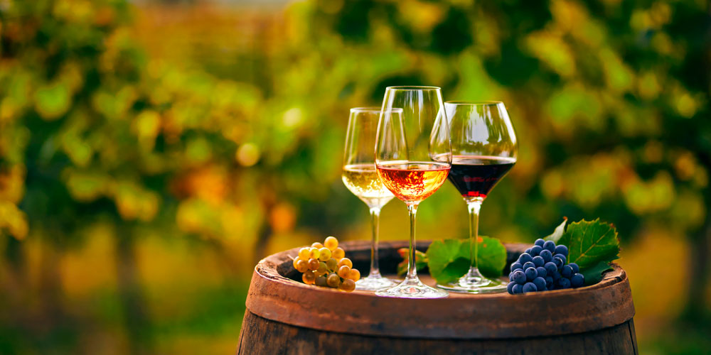 Mejores vinos en 2023 según los expertos de Blas Bermejo